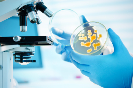 Biologische Innenraumanalysen führen wir in unserem Labor durch.